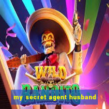 my secret agent husband